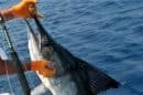 Fishing Charters