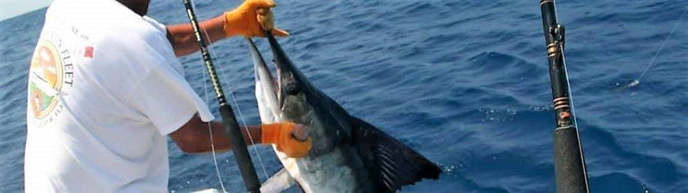 Fishing Charters