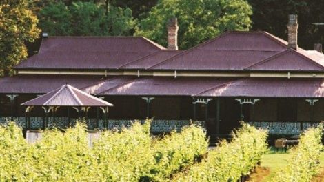 O’reillys Canungra Valley Vineyards