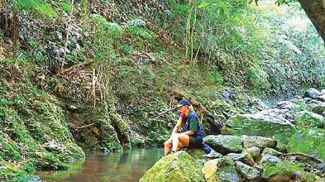 Gold Coast Hinterland Great Walk