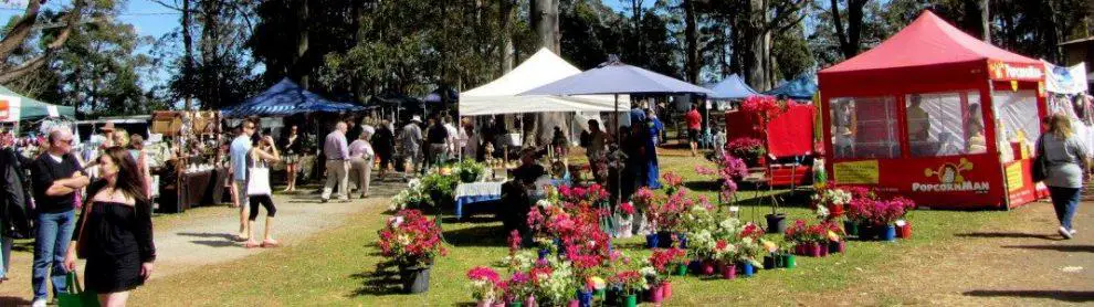 Mt Tamborine Markets