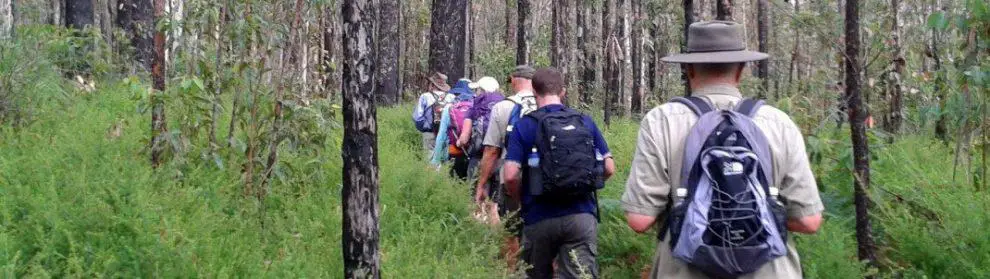 Bushwalking Gold Coast - Hinterland Bush Walking Tours, Qld