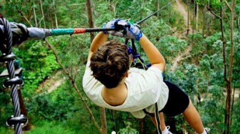 Treetop Challenge Currumbin