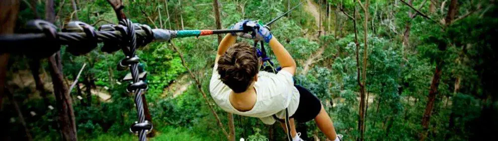 Treetop Challenge Currumbin