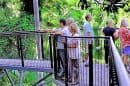 Tamborine Rainforest Skywalk