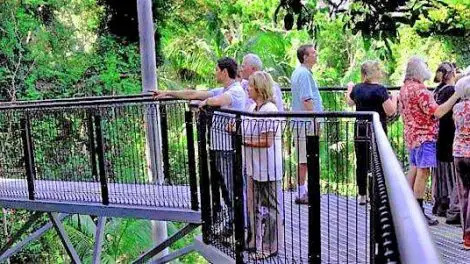 Tamborine Rainforest Skywalk