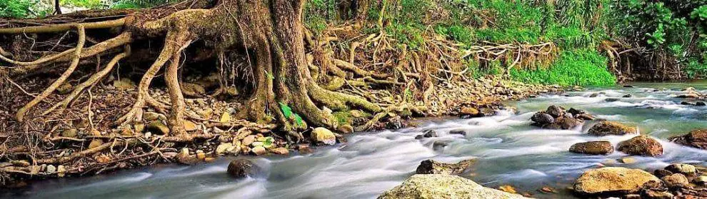 Currumbin Rock Pools