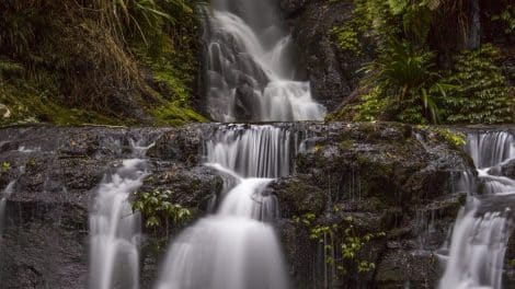 Lamington National Park