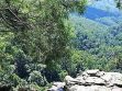 Springbrook National Park