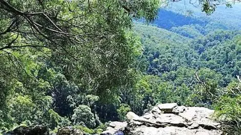 Springbrook National Park