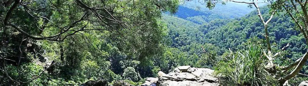 Springbrook National Park