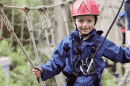 Treetop Challenge Mt Tamborine