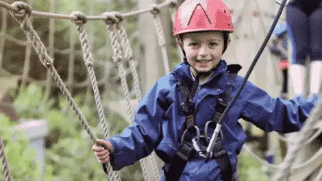 Treetop Challenge Mt Tamborine