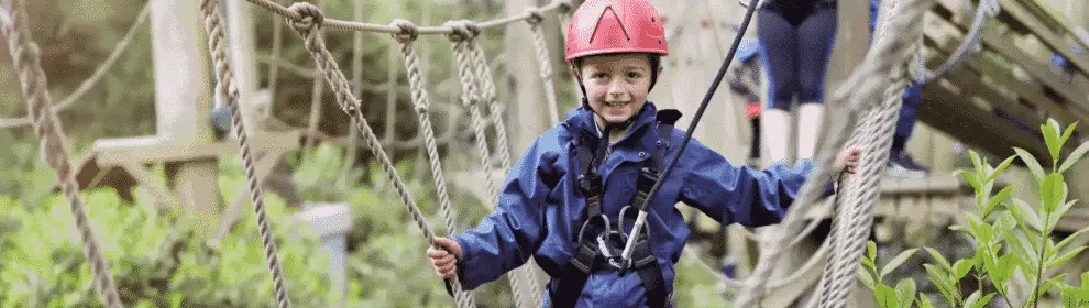 Treetop Challenge Mt Tamborine