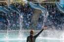 Seaworld