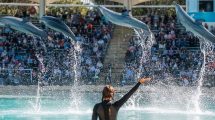 Seaworld