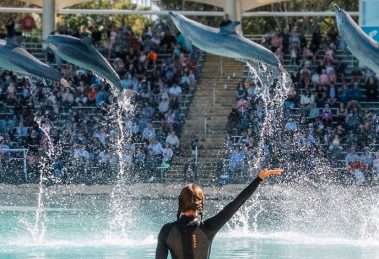 Seaworld