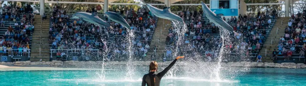 Seaworld