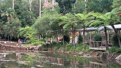 Tamborine Mountain Botanical Gardens