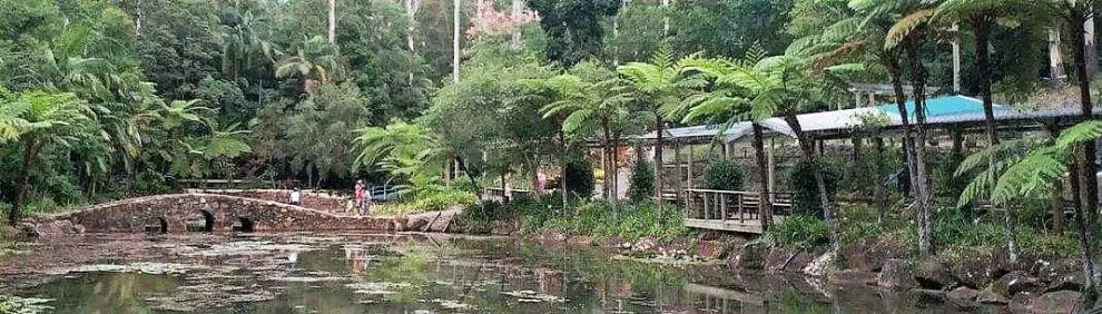 Tamborine Mountain Botanical Gardens